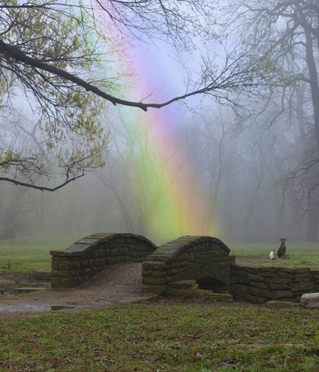 Bambi����☀️❤️��